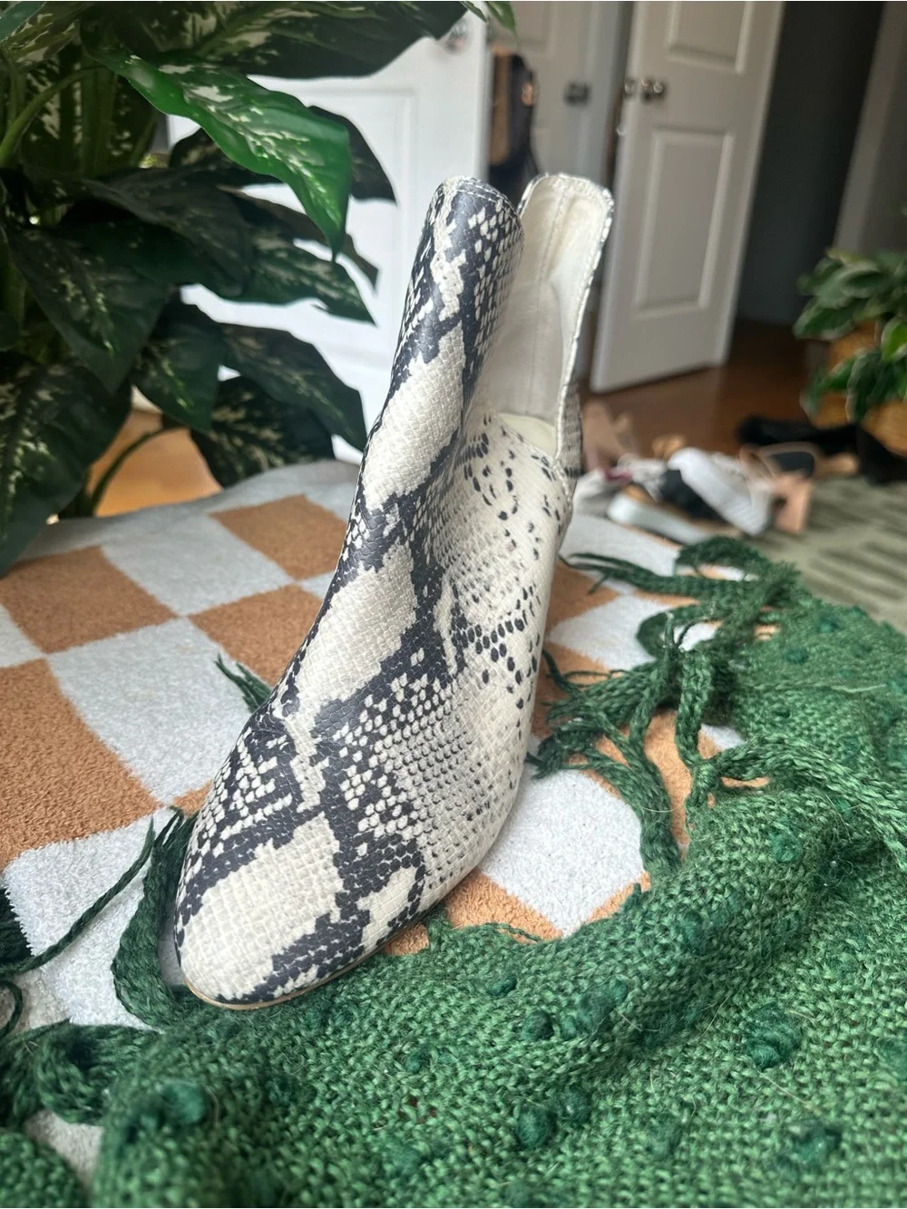 Steve Madden Snake-Print Ankle Booties in Black and Cream